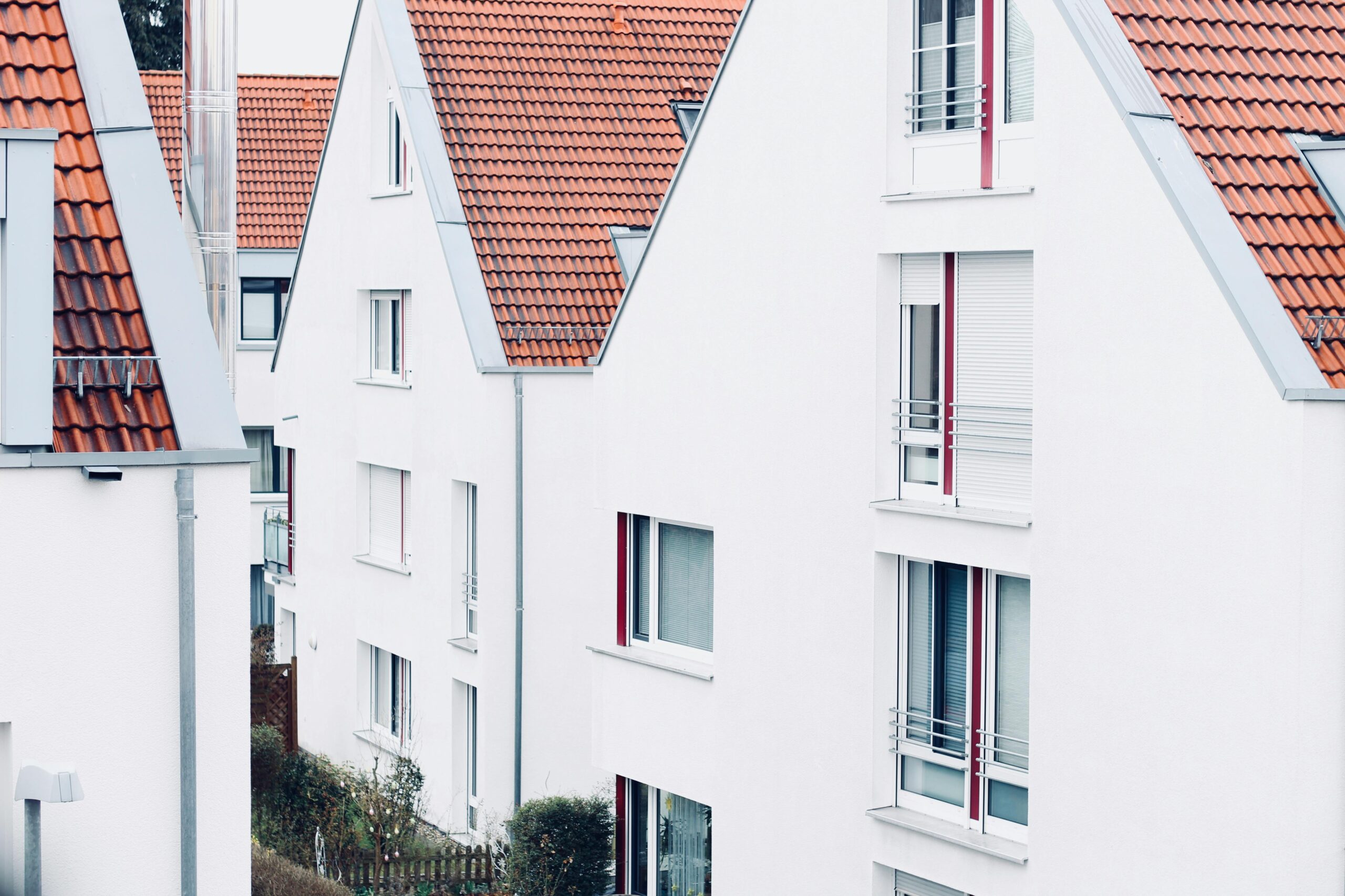 pexels-felix-lauster-343083-987550